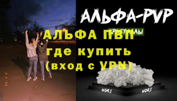 дурь Корсаков