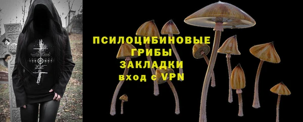 ECSTASY Краснослободск
