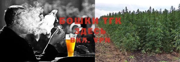 винт Костерёво